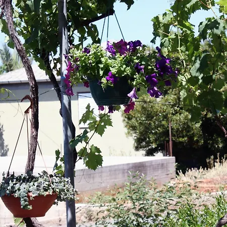 Barbat 5070b Barbat na Rabu