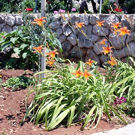 Barbat 5070b 아파트 Barbat na Rabu